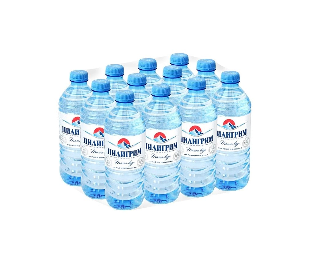 Пилигрим негазированная 12 шт